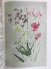 含彩色藏书票！1912年 亚高山植物图鉴 33页彩色插图 漆布精装32开 商品缩略图13