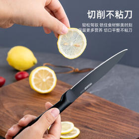维艾（Newair）水果刀不锈钢家用削皮刀加长切西瓜刀具套装厨房菜刀德国便携小刀 /厨具 /刀剪菜板 /瓜果刀/刨