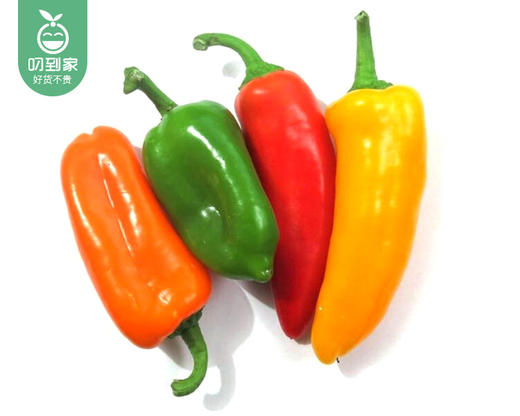 山东新鲜水果椒（250g±30g/份） 商品图2