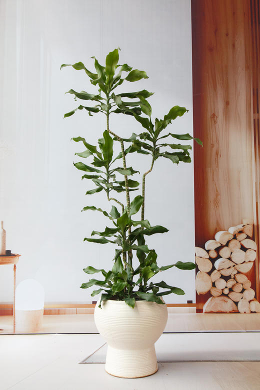 螺纹铁 商品图0