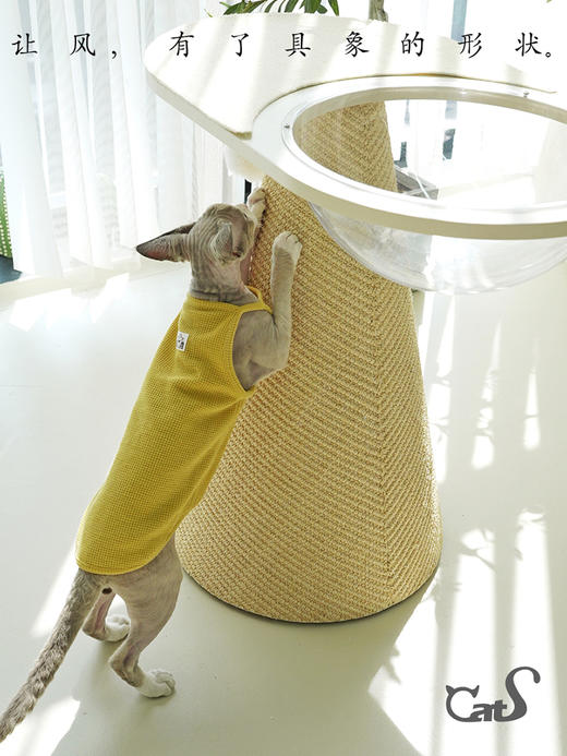 CatS猫家具 向往的风系列猫抓柱猫爬架 进口耐磨不掉屑剑麻太空舱 商品图4