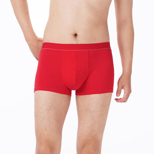 都市丽人都市锋尚内裤简约基础平角裤32S棉拉架男士内裤FKTGA2 商品图1