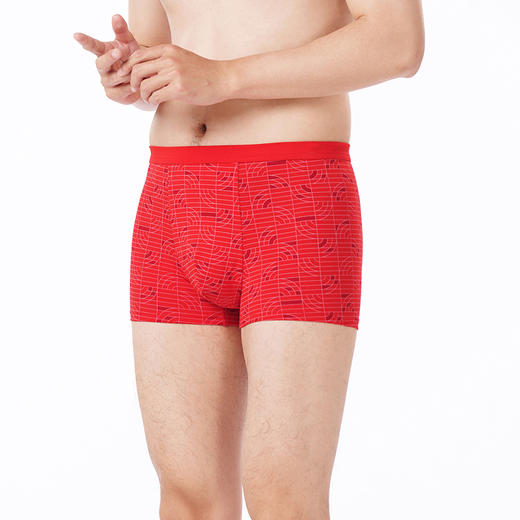 都市丽人都市锋尚内裤日常休闲平角裤50S棉拉架男士内裤FKTCE2 商品图2