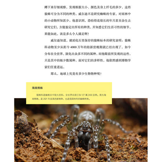 “苗德岁写给孩子的自然科学”3册套装：《人类进化》《生态家园》《奇妙生物》 商品图11