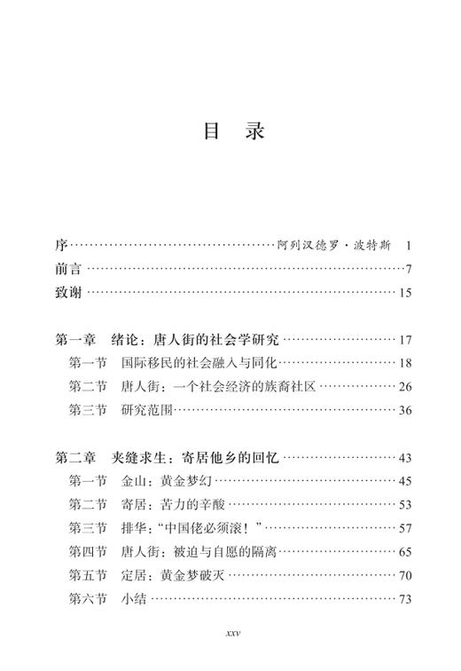 唐人街——深具社会经济潜力的都市族裔聚居区 商品图1