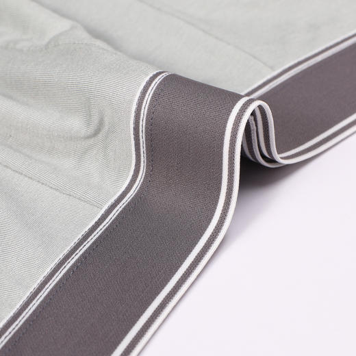 都市丽人都市锋尚内裤简约基础平角裤40S人棉男士内裤FKTGA1 商品图4