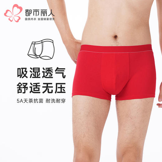 都市丽人都市锋尚内裤简约基础平角裤32S棉拉架男士内裤FKTGA2 商品图0
