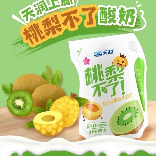 【近期新日期】天润酸奶  多口味混搭 爱克林包装 新疆酸奶  新疆美食产地直发 商品图6
