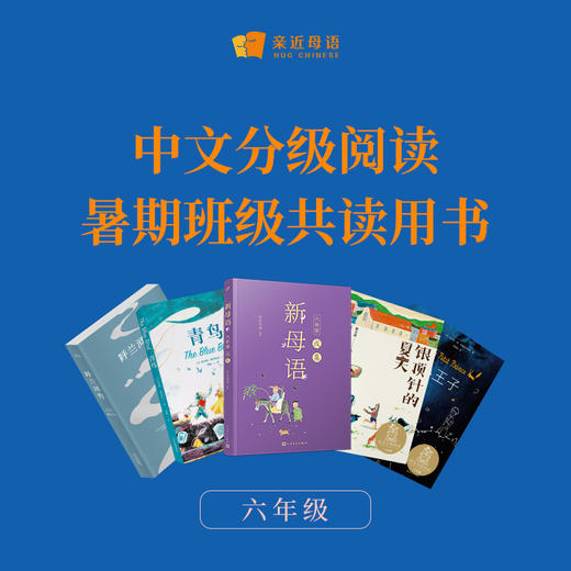 中文分级阅读·暑期班级共读活动用书 商品图6