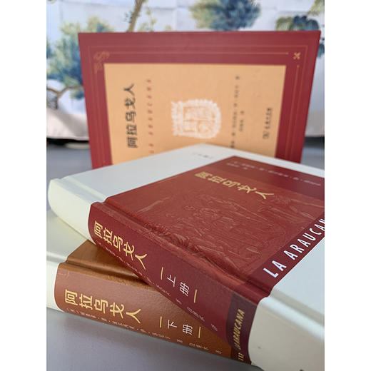 阿拉乌戈人(全两册) 商品图10