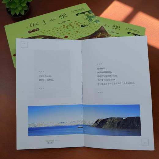 安心小语（第二辑） 商品图5