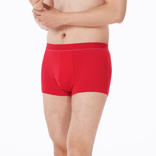 都市丽人都市锋尚内裤简约基础平角裤32S棉拉架男士内裤FKTGA2 商品图2