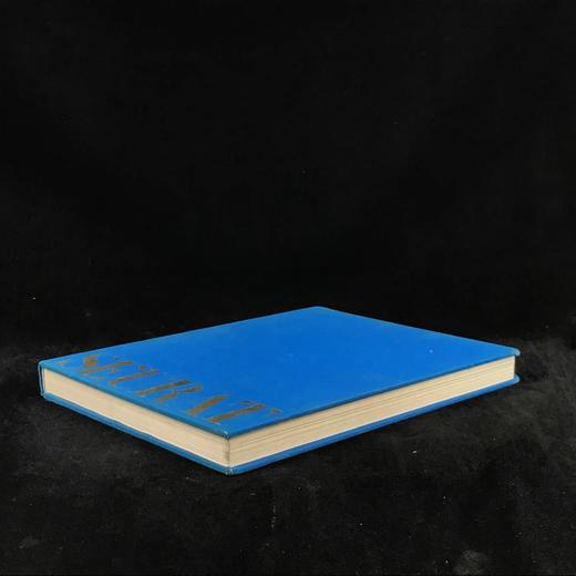 修拉画集 171幅插图（118幅彩色） 精装大16开 商品图1