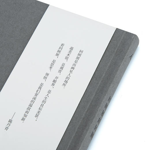 回顾展的回顾  陈丹青50余场艺术回顾展和专题展的“回顾” 影像杂谈 谈话的泥沼 商品图2