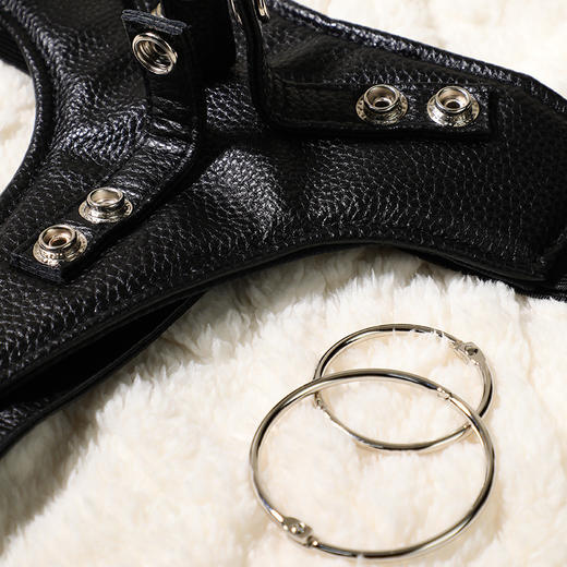 【谜姬】阳具穿戴裤情趣用品穿戴拉拉裤成人性爱另类玩具性玩具 商品图3