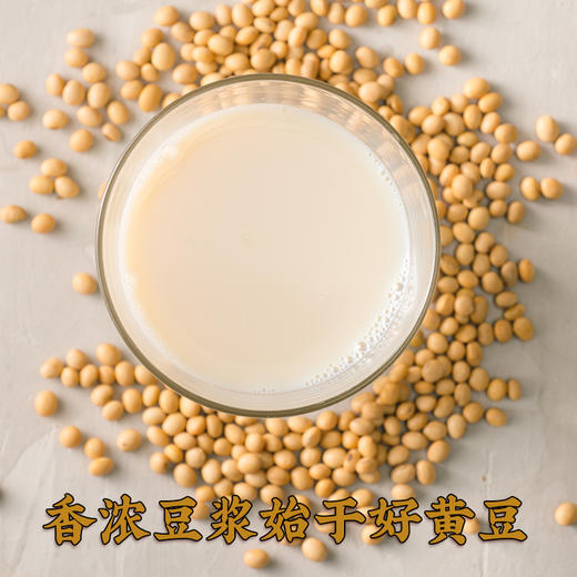 【食品】黄豆当年新豆子豆浆食材非转基因黄豆杂粮2斤 商品图2