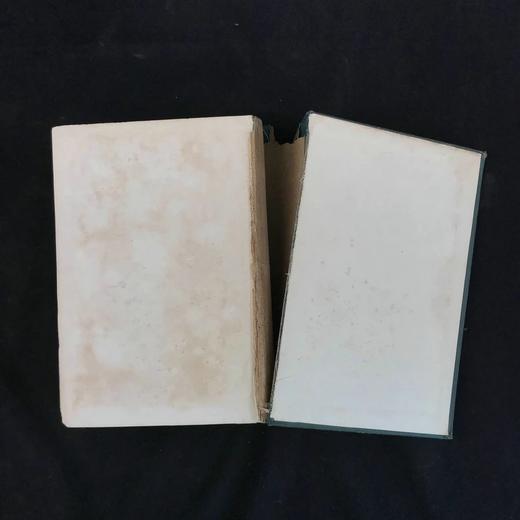 1904年 半索动物/海鞘与蛞蝓动物/鱼类图鉴 440幅插图 漆布精装大32开 商品图2