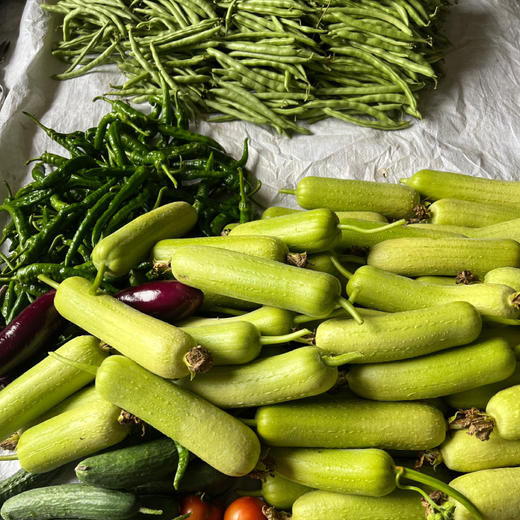 湖南邵阳 生态种植蔬菜 蔬菜包【 红菜苔，白菜苔，西蓝花、白花菜，胡萝卜等】 商品图0