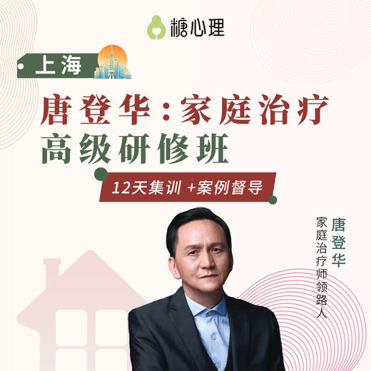 唐登华：家庭治疗连续培训项目（高阶）【上海】 商品图0