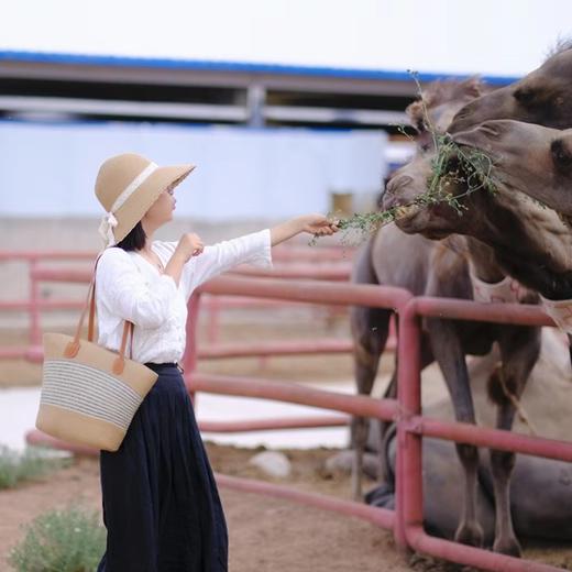一年一次，驼奶初段乳活动！100%纯驼奶粉 双有机认证 富硒认证 低GI认证 多项专利低温锁鲜杀菌储存技术  新疆阿克苏柯坪 100%纯生鲜驼奶 沙漠“软黄金” 商品图8