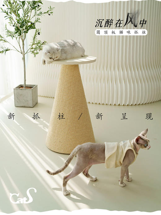 CatS猫家具 向往的风系列猫抓柱猫爬架 进口耐磨不掉屑剑麻太空舱 商品图3