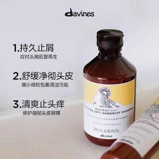 Davines大卫尼斯自然去屑洗发水止痒调理头皮清爽无硅油250ml/1000ml 商品图2