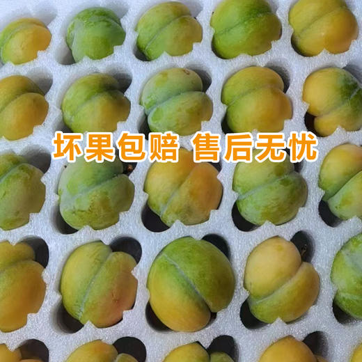 D弥你红蜂糖李 商品图3