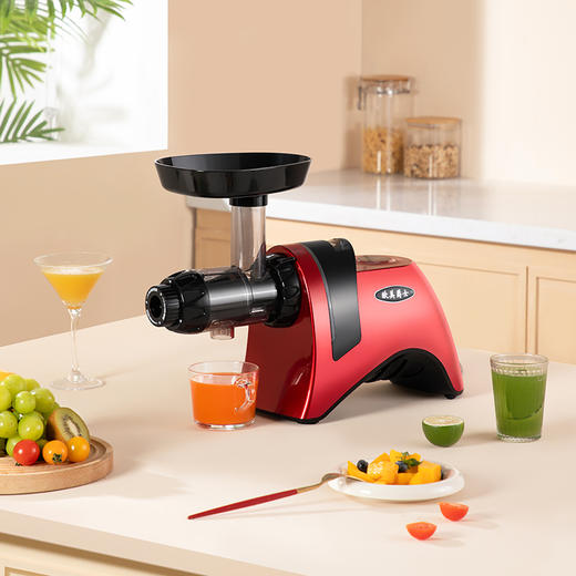 厂家直发-Omega Juicers 欧美爵士 多功能慢磨榨汁机原汁机J9229i系列 商品图0