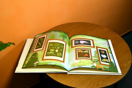 中国国家公园 : 中国给世界的礼物 商品图3