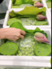 2024年新鲜莲蓬4斤 商品缩略图0