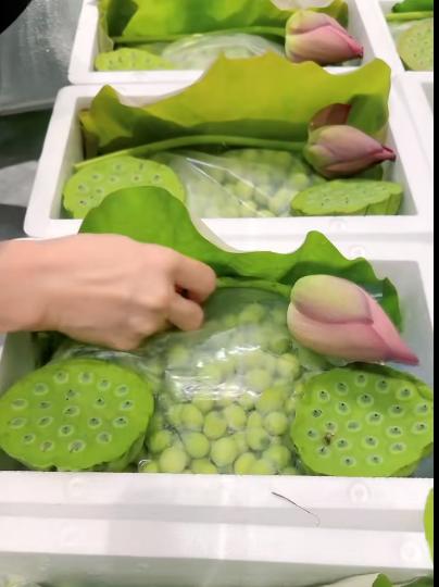 2024年新鲜莲蓬4斤 商品图0