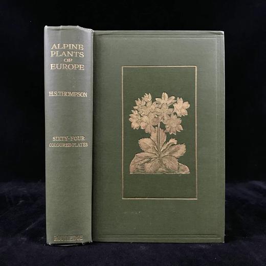 含彩色藏书票！约20世纪早期 欧洲高山植物图鉴 64页彩色插图 漆布精装32开 商品图0