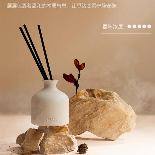 柏缇（POTE）自在境无火香薰 120ml 商品图5