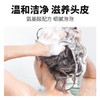 柏缇（POTE）北非雪松洗发露 475ml 商品缩略图6