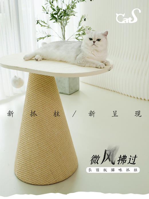 CatS猫家具 向往的风系列猫抓柱猫爬架 进口耐磨不掉屑剑麻太空舱 商品图2