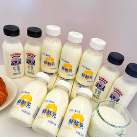 新希望今日鲜奶铺＆奶寻鲜酪乳纯牛奶早餐奶组合装