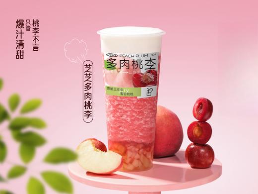 芝士多肉桃李 商品图0