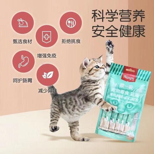 【7377】顽皮 欧一吸 宠物零食 猫条 金枪鱼 70g /袋  5袋/组 商品图2