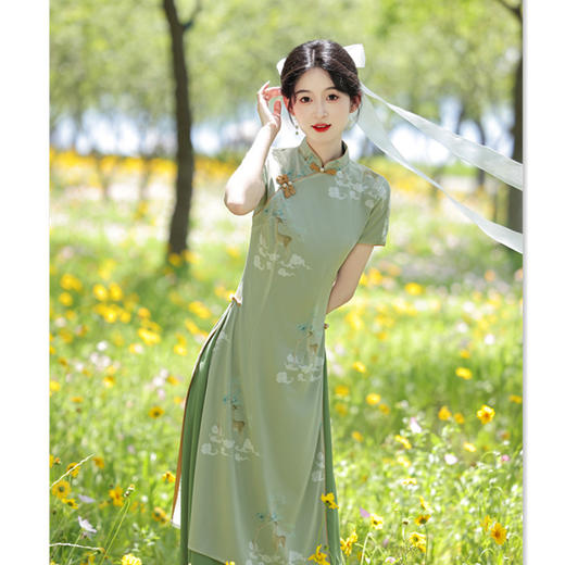 2024夏新款时尚改良民族风少女弹力网纱长款奥黛旗袍裙SYK396019 商品图3