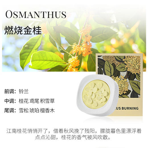 菓凯出风口车载香薰 商品图1