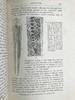 1904年 半索动物/海鞘与蛞蝓动物/鱼类图鉴 440幅插图 漆布精装大32开 商品缩略图13