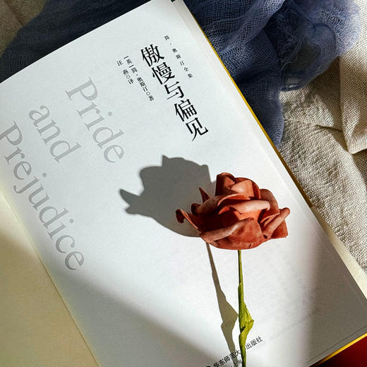 傲慢与偏见 商品图2