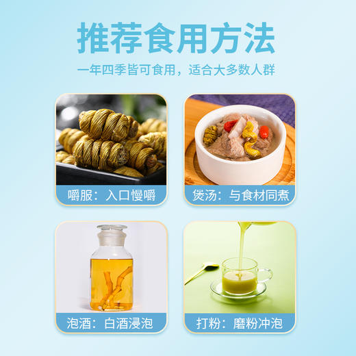 【铁皮石斛枫斗】色泽金黄 颗粒饱满 胶质浓郁 商品图6