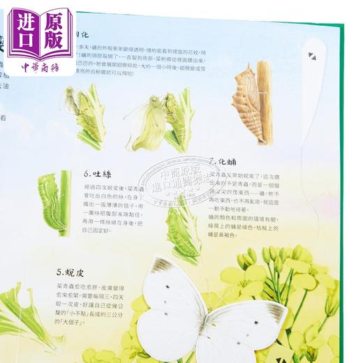 【中商原版】法布尔昆虫记立体书 港台原版 尚亨利法布尔 时报出版 商品图3