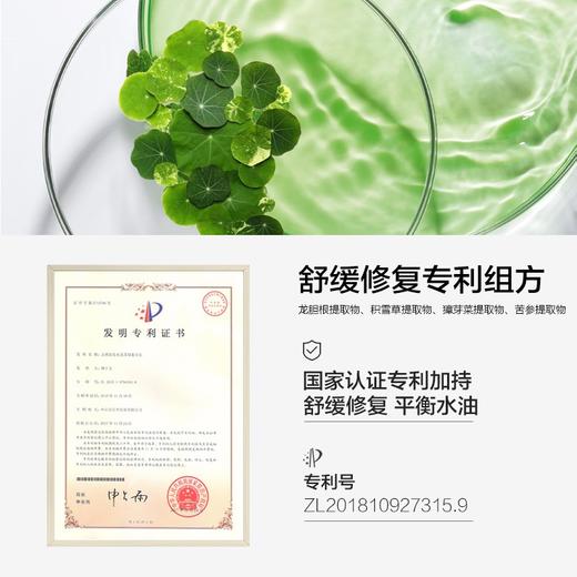 柏缇（POTE）北非雪松洗发露 475ml 商品图5