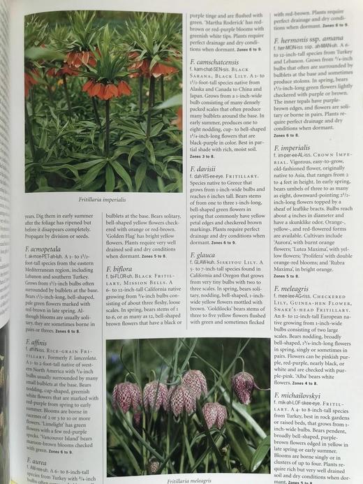 园林植物百科全书 数百幅彩色插图 精装大16开 商品图14