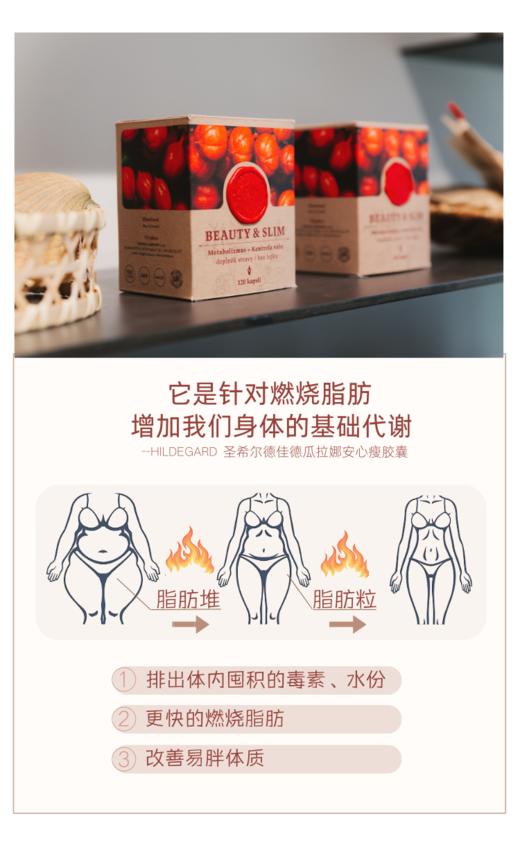 捷克圣希尔德佳德瓜拉纳安心瘦减重胶囊全身排油纯植物强代谢 商品图9