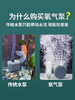 静音双孔增氧气泵【打造不换水饲养环境】 商品缩略图2