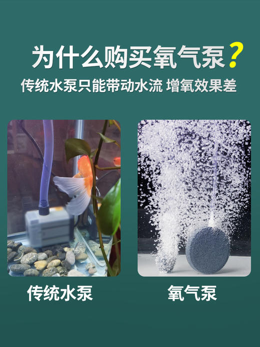 静音双孔增氧气泵【打造不换水饲养环境】 商品图2