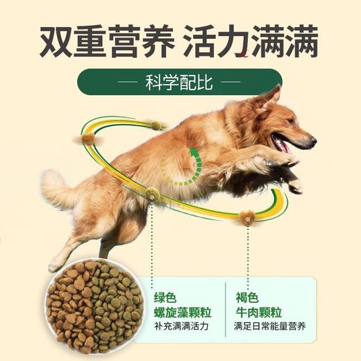 【0629】麦富迪 藻趣儿 牛肉螺旋藻【成年期】犬粮 2.5kg 商品图4